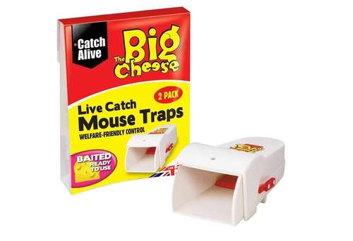 Big Cheese STV155 Mouse Trap Live Catch RTU 6Pc_base
