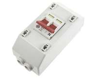 Wylex 100A DP Mains Switch & Enclosure Supply Isolator - REC2S