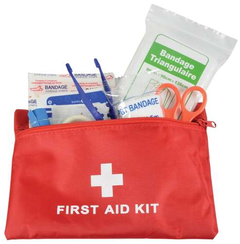 Mercury AIDKIT 40 Piece Mini Medical First Aid Kit in Durable Nylon Bag Red_base
