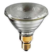 PAR 38 Lamp 120w ES E27 Clear FLOOD REFLECTOR - 240v_base